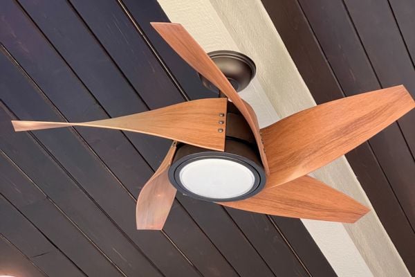 Aesthetic ceiling fan with somewhat vertical fan leafs