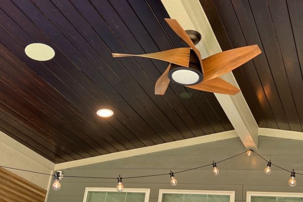 Ceiling fan with aesthetic fan blades