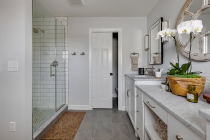 Bathroom counter top with a large potted plan in the middle between the mirrors and a narrow doorway in the background