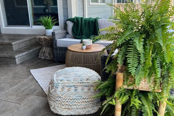 Outdoor furniture for screened in porch with greenery and plants