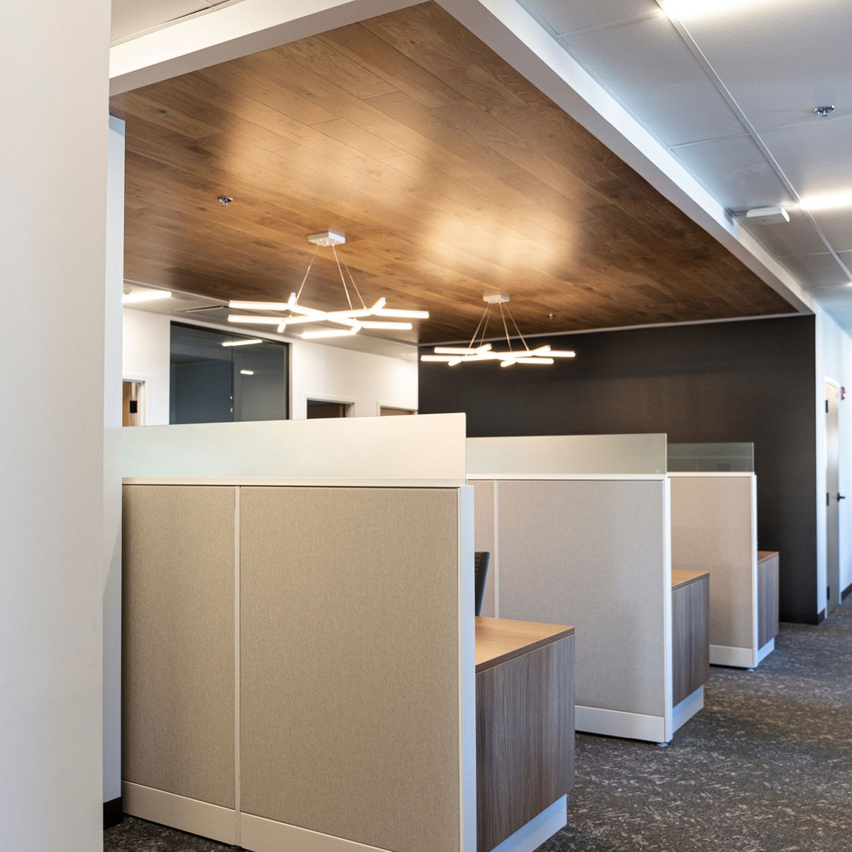 Cubicles with wooden drop ceiling and hanging lights